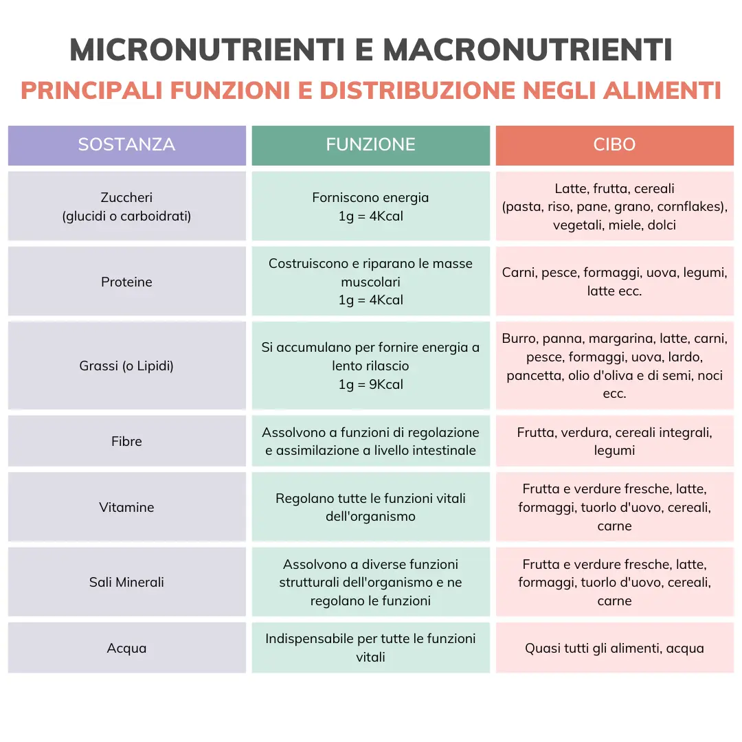 micronutrienti e macronutrienti