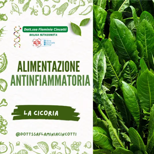 Intestino e Salute della Pelle: L'Importanza della Corretta Alimentazione
