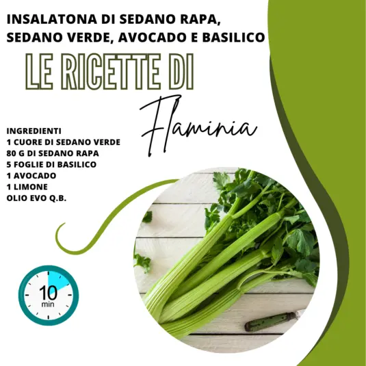 Insalatona di Sedano
